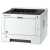 Принтер Kyocera P2040DW (1102RY3NL0)